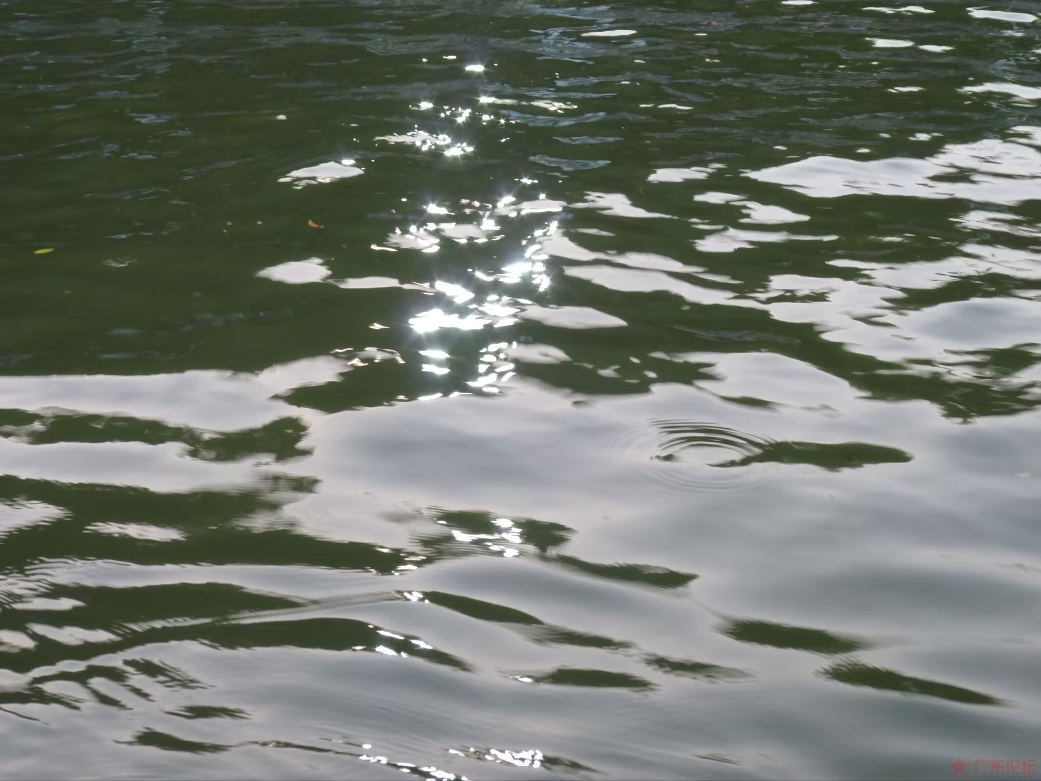 IMG_0919.jpeg
