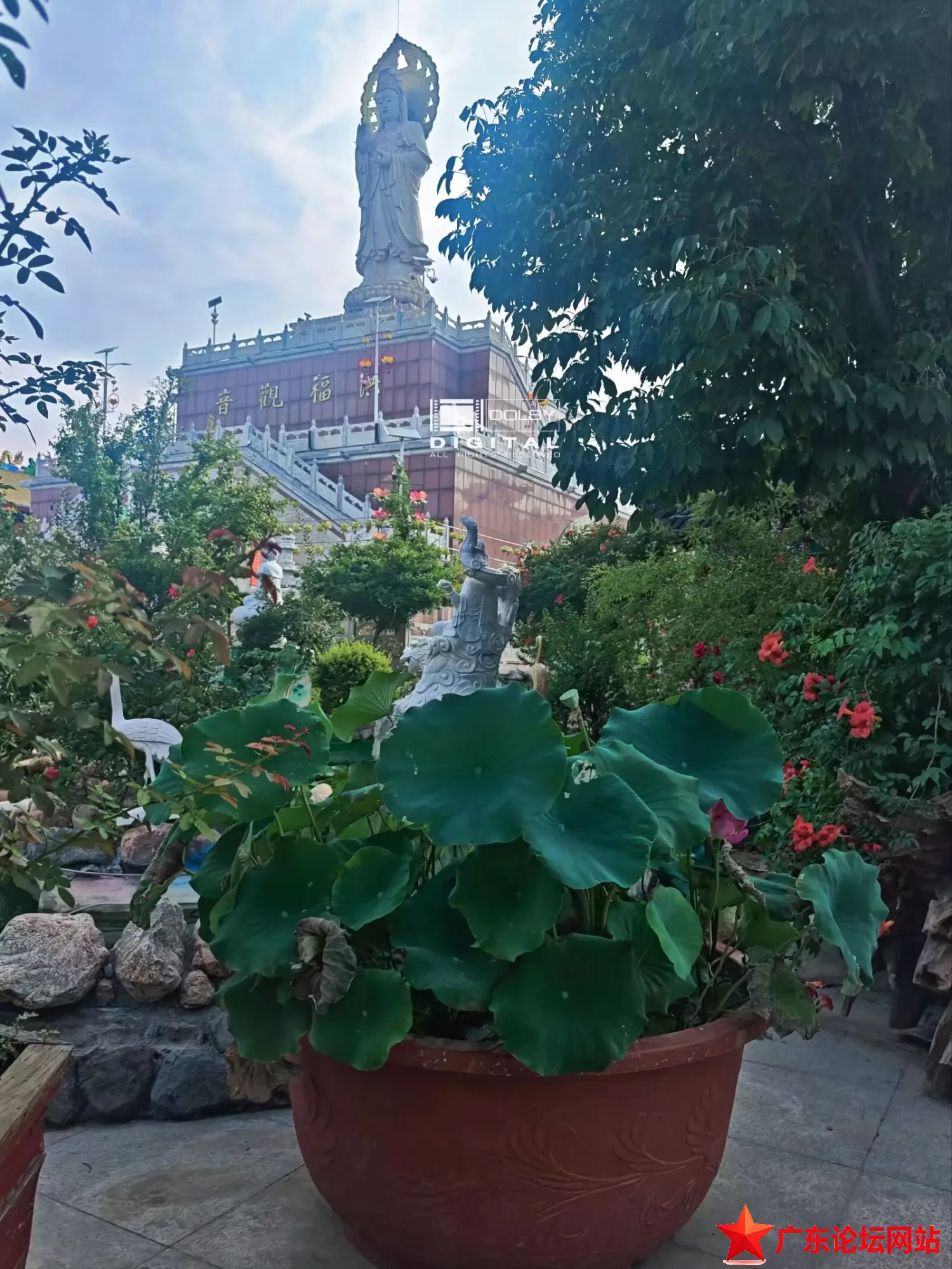 IMG_2055.jpeg