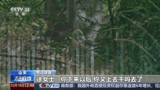 IMG_2292.gif