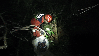 IMG_0542.gif